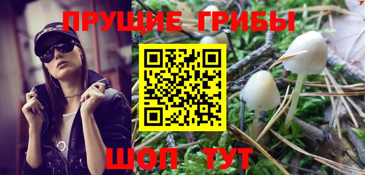 Псилоцибиновые грибы Psilocybine cubensis  Вход с VPN  Туапсе 